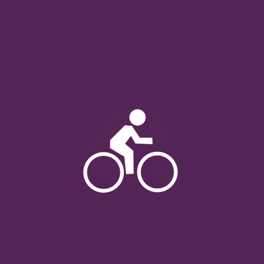 Zestaw rower - przyczepka rowerowa dla dziecka